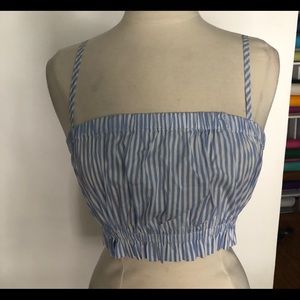 Forever 21 Blue and White Striped Cropped Tank Top